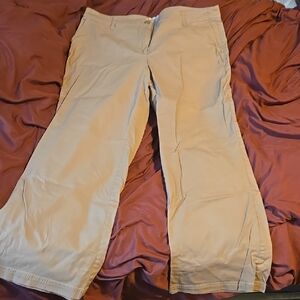 Talbots Tan Straight Leg Pants